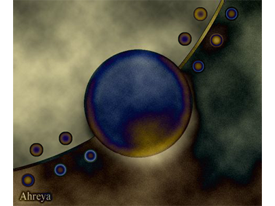 Example of the photo gallery