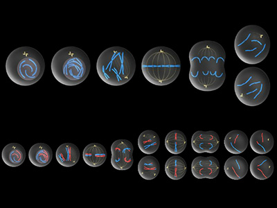 Example of 3D animation learning video