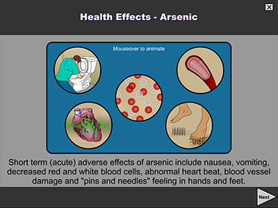 Example activity with animations